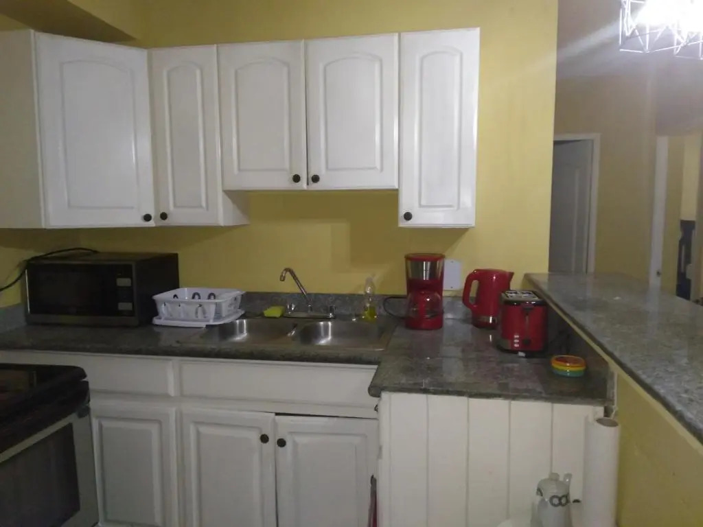 Cozy Deluxe 2BR Condo New Kingston