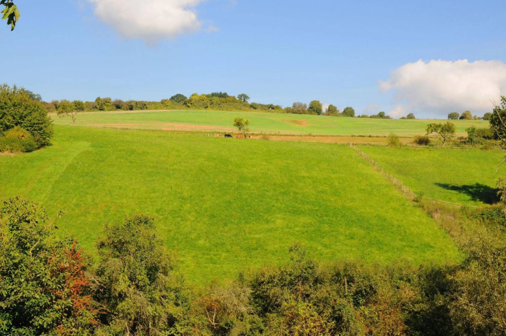 Landgasthof Germania