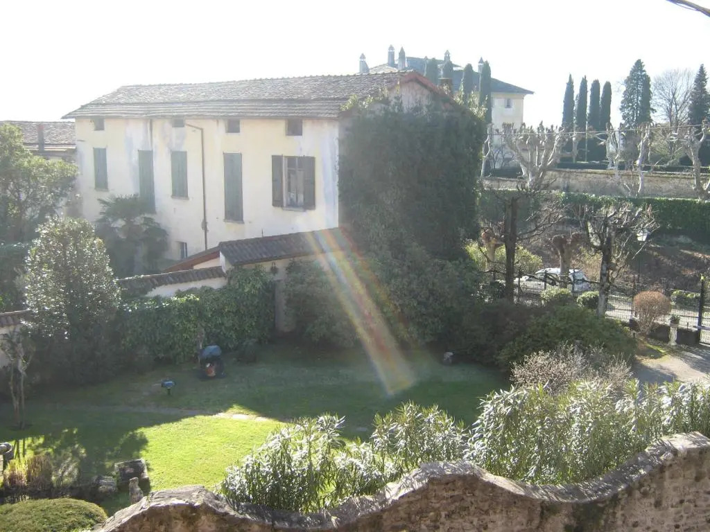 Il Grifo