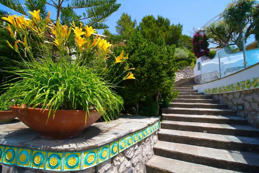 Capri Dream