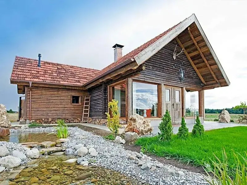 Widmanns Löwen