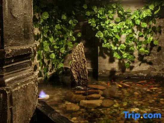 Xitang Town Dayin Fuguang Homestay