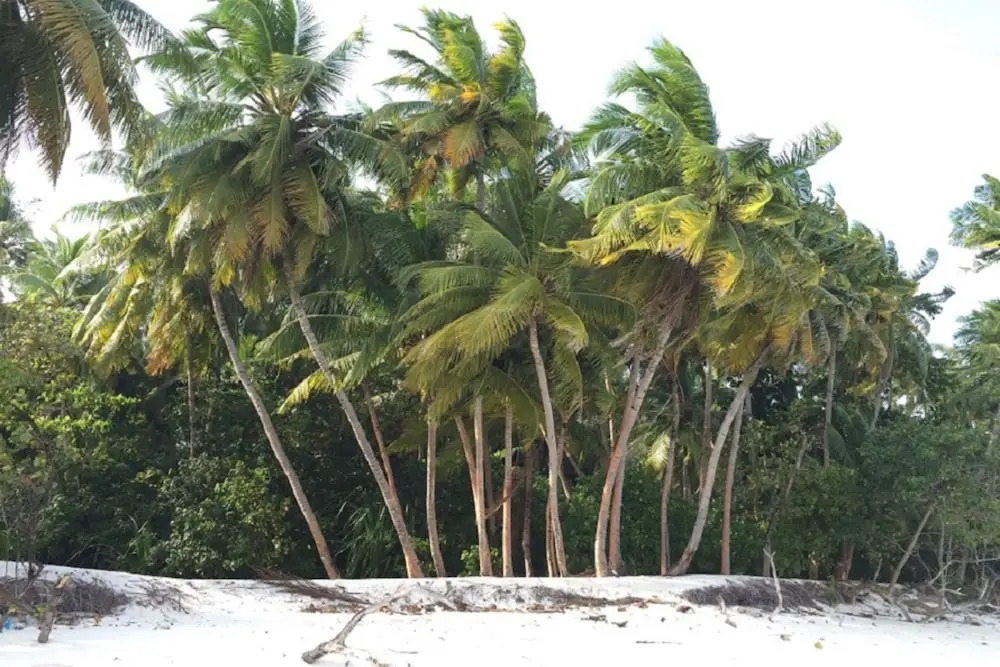 Liyela Retreat Maldives