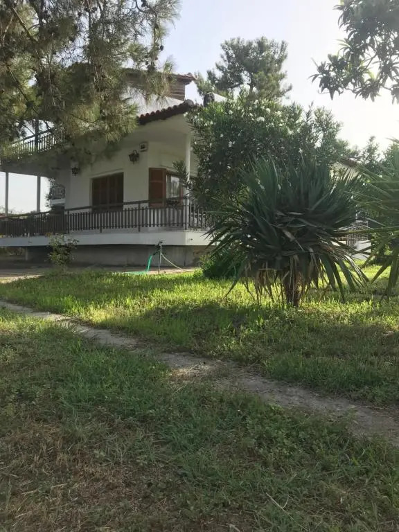 Daddy’s sea view house