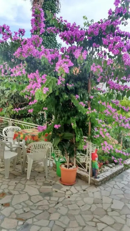 Apartments Pavelić