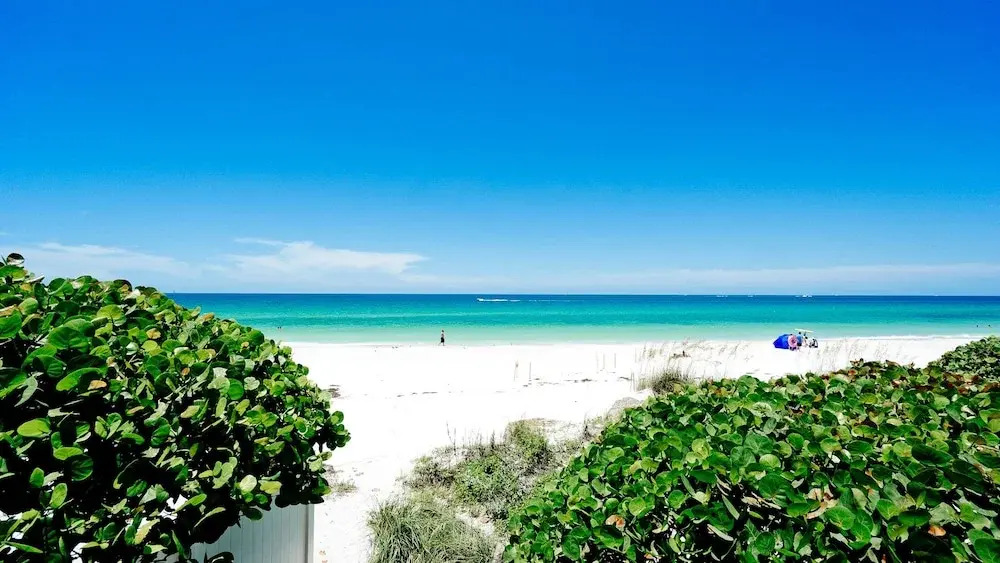 Beach House Resort Unit 6 - 1751542