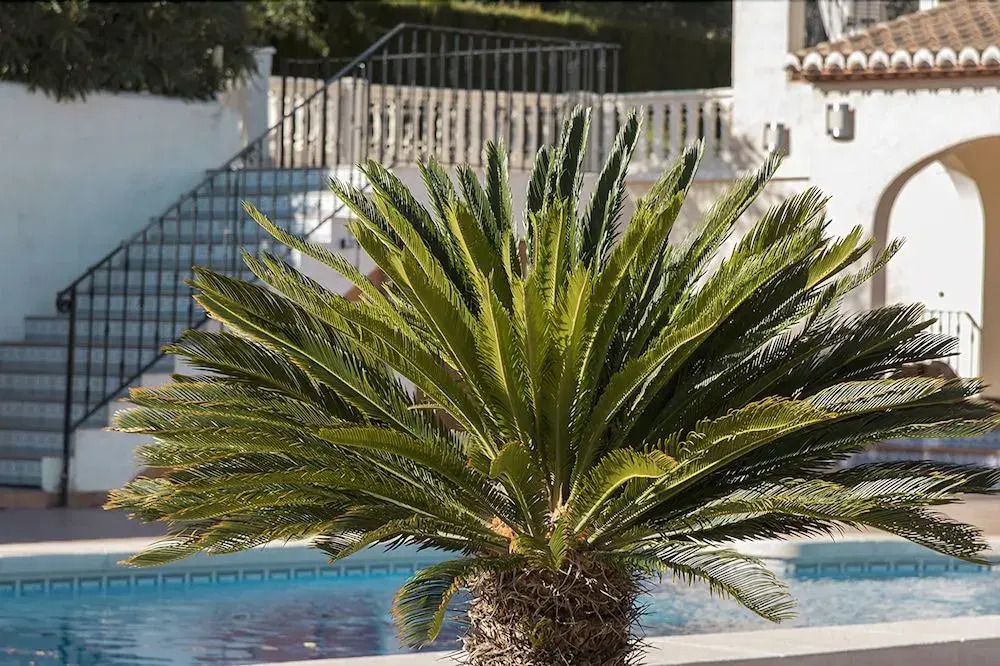 Abahana Villas La Maravilla