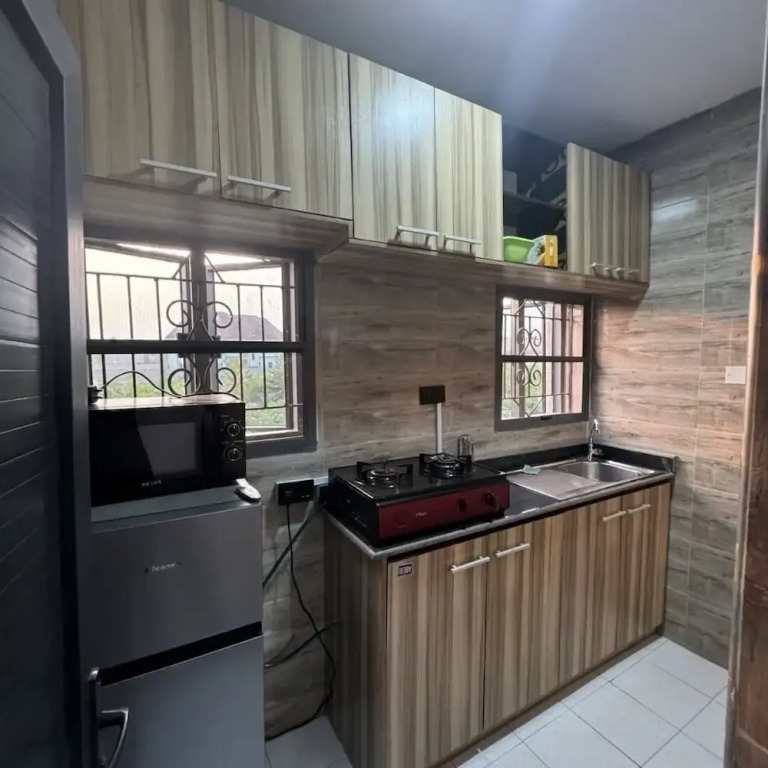 Satellite Apartment