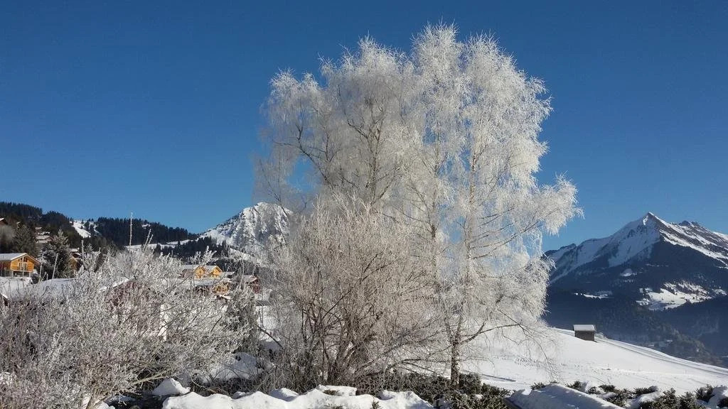 Chalet Ermina Bed & Breakfast