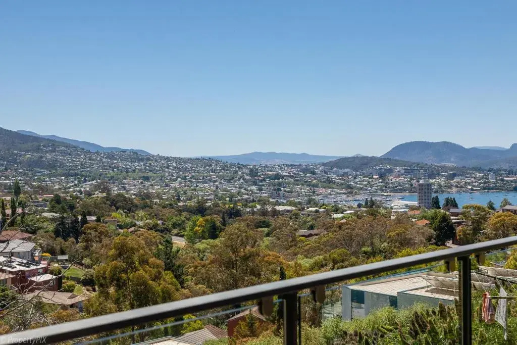 The Lookout