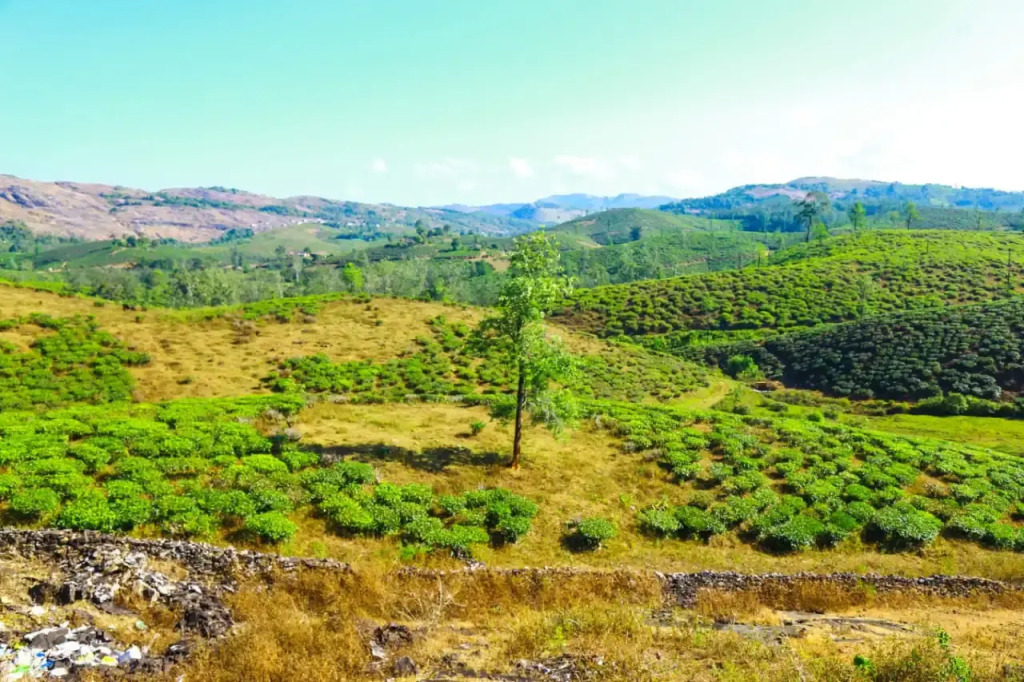 Sam Valley