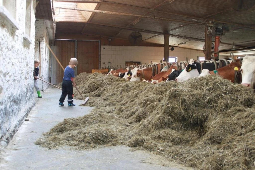 Bad Kleinkirchheim Bio Naturhof Ottingerhof