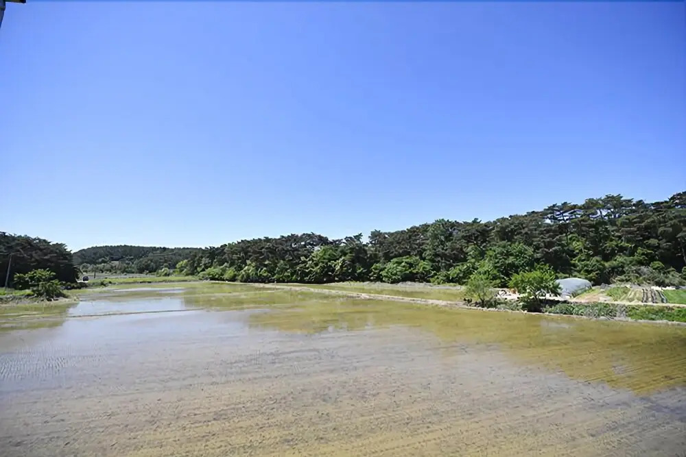 Anmyeondo Flower Beach Castle Pension