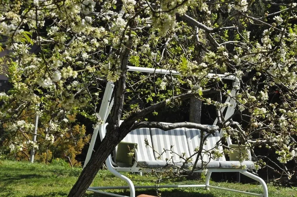 Cà du Ferrà - Farm and Relax