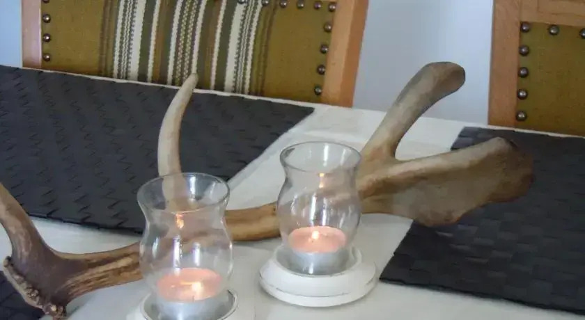 Wilderness Life in Arvidsjaur