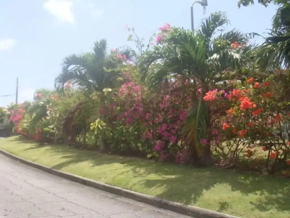 Caribeisle Townhouses
