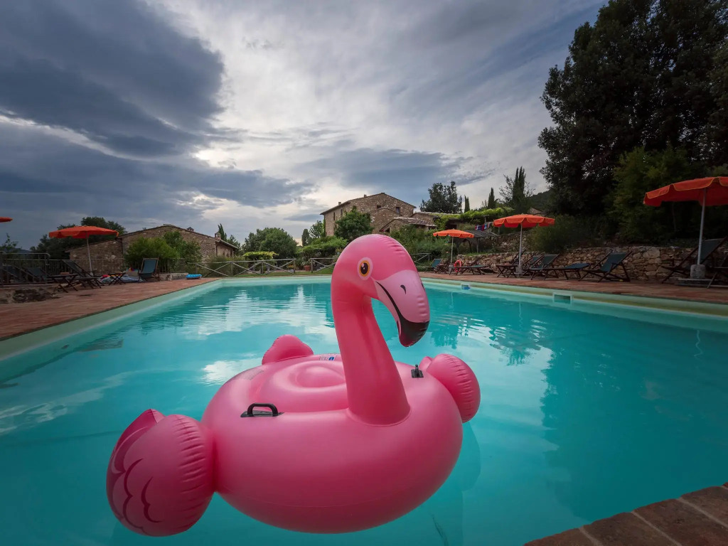 Apartment in Chianti With Pool ID 450
