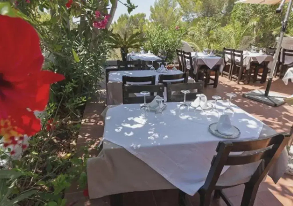 Apartamentos Barbarroja - Formentera Break