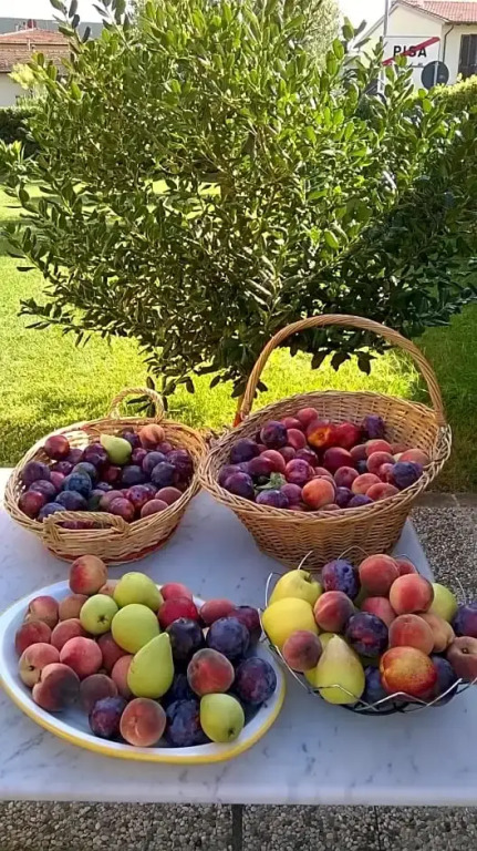B&B La corte di Stelio
