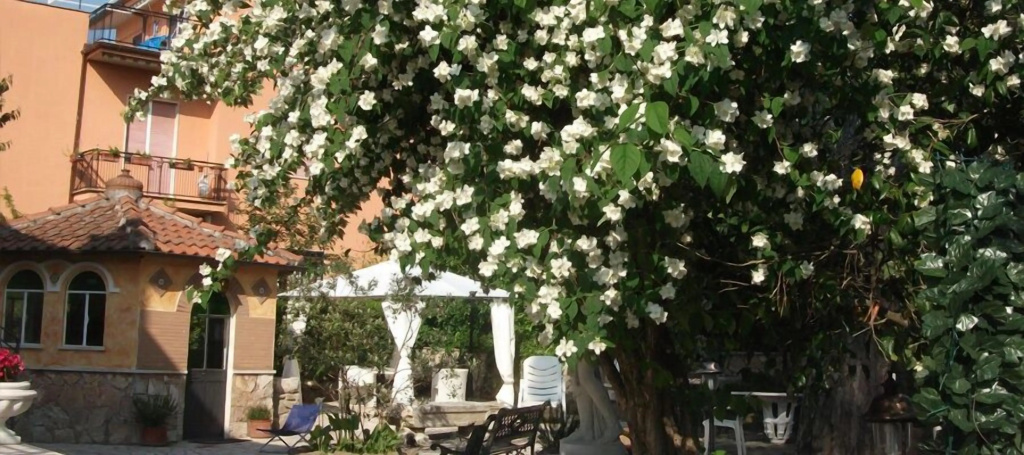 B&B Vittoria Colonna