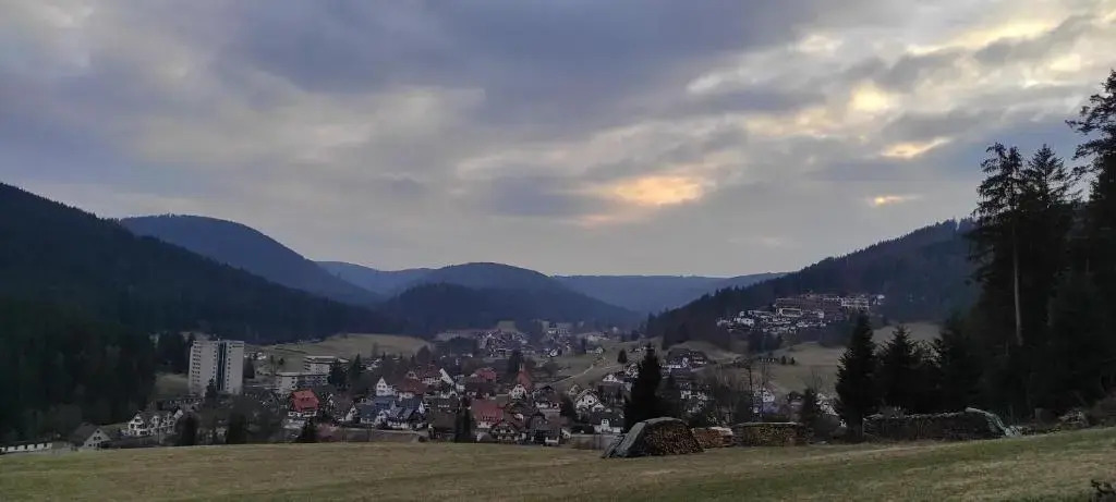Ferienwohnung Vogelnest im Schwarzwald