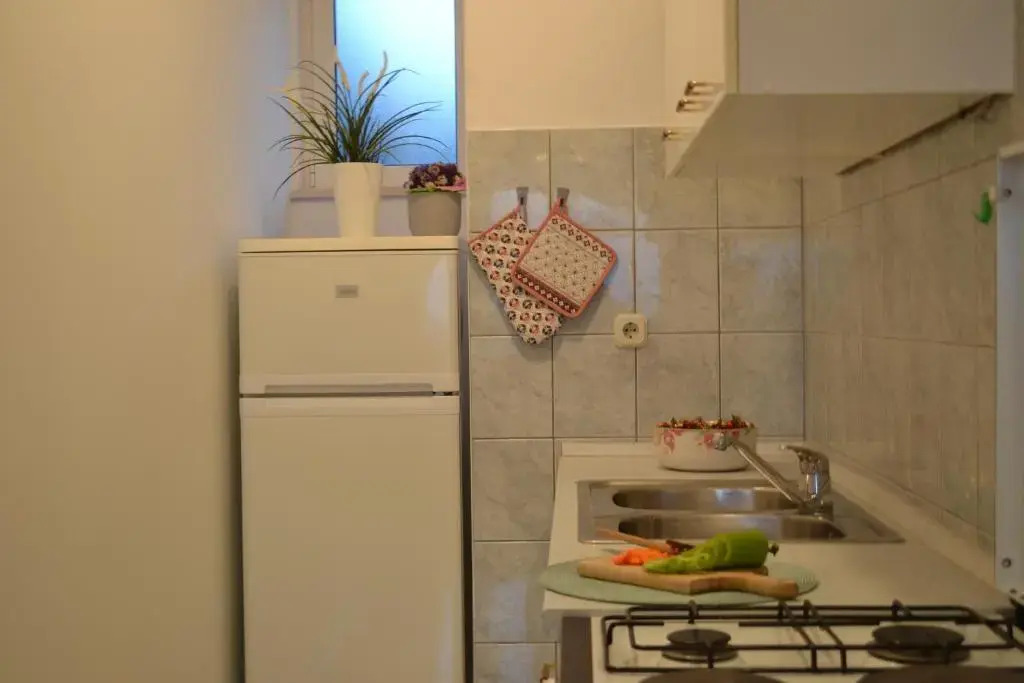 Rasin Apartments