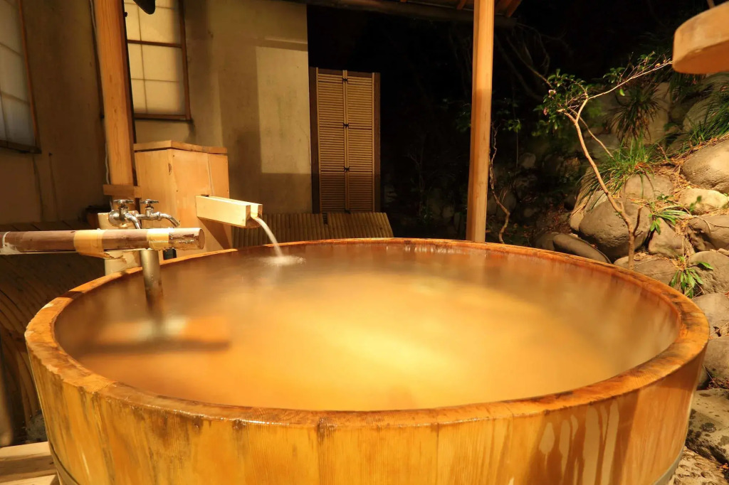 Kinugawa Onsen Hana no Yado Matsuya
