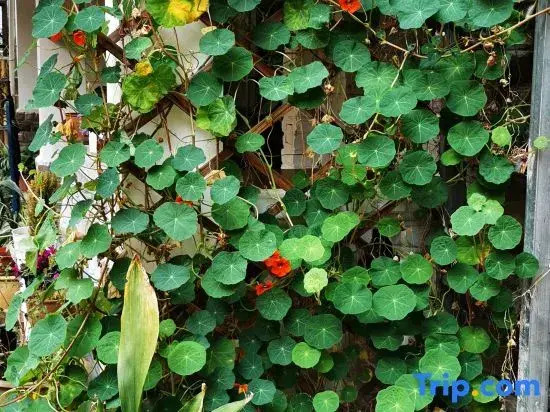 Wuchuan Dongshan Private Language Homestay