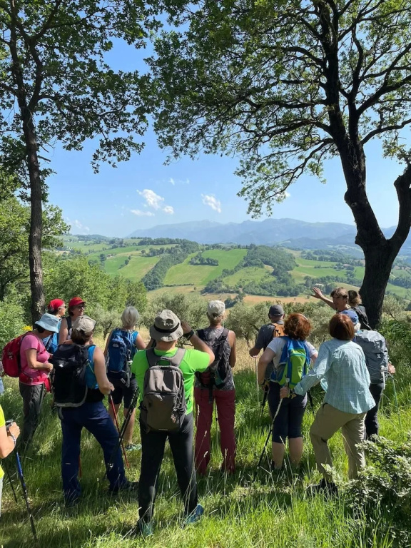 Agriturismo Al Respiro Nel Bosco