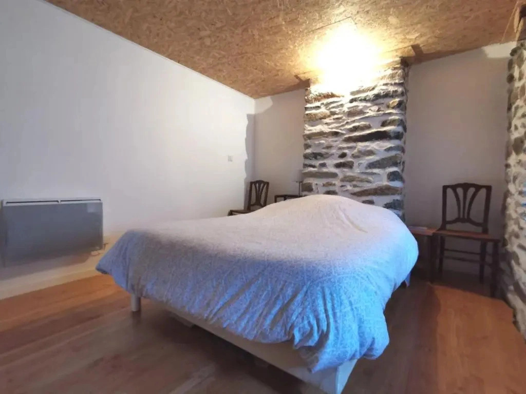 Charmante maison dans les gorges de la Loire avec terrasses et poêle à bois - FR-1-582-319