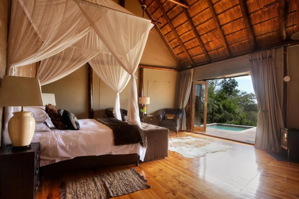 Bush Lodge   Amakhala Game Reserve