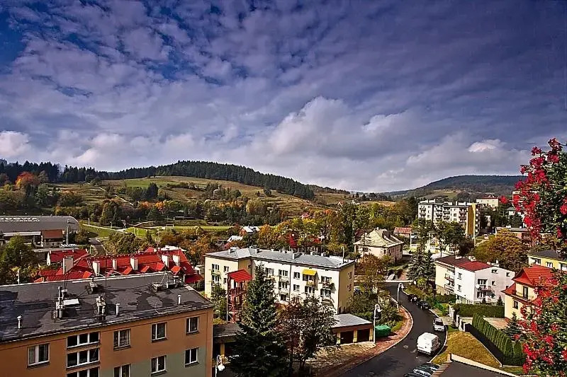 Apartament Na Wspólnej