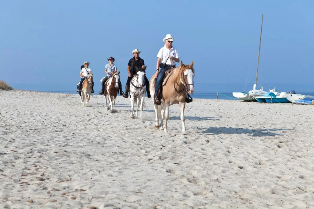 Horse Country Resort Congress & Spa - Hotel Ribot