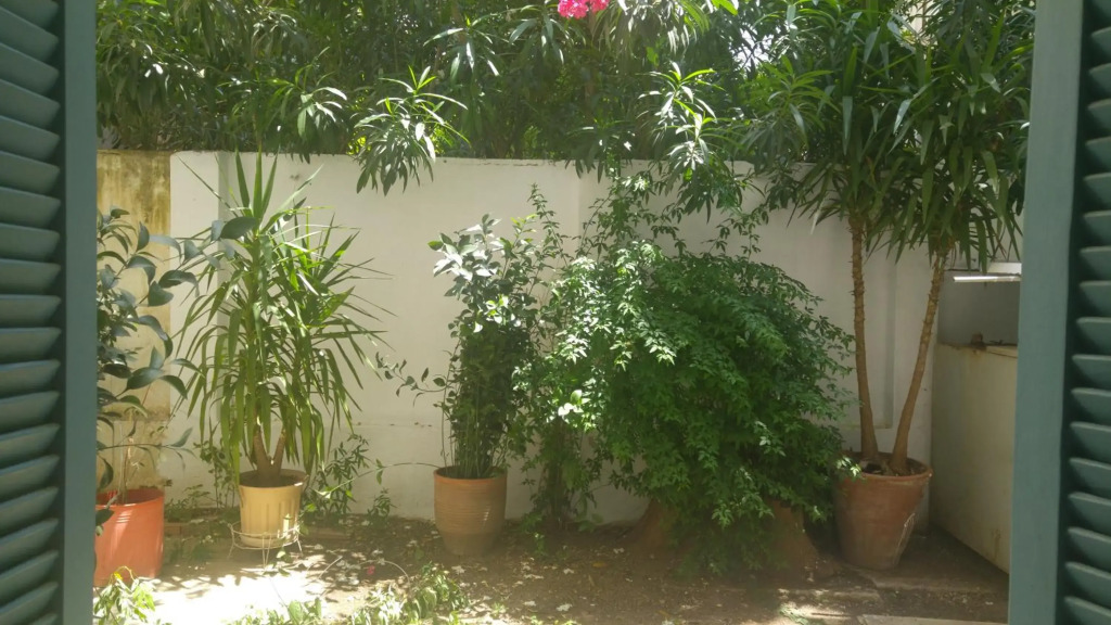 Renovated Studio with garden in heart of Athens
