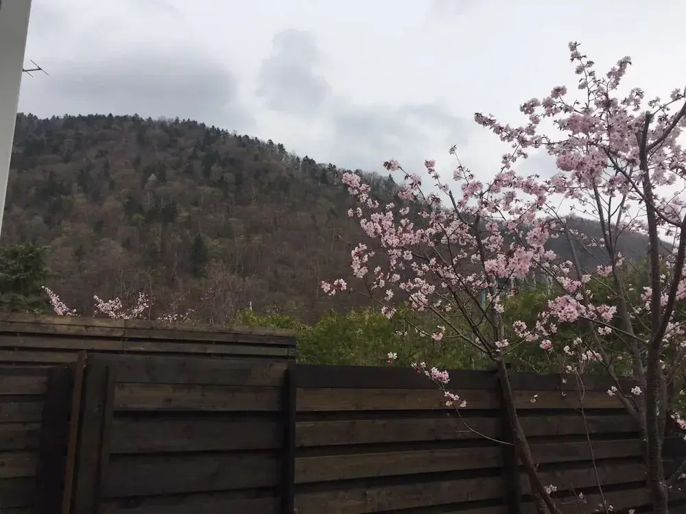Hotel Kinwaso
