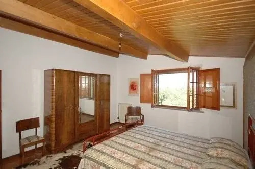 Deodara