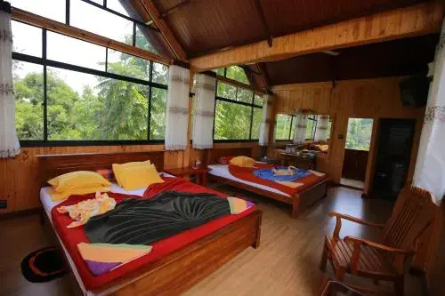 Tea Forest Lodge