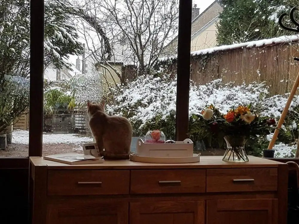 Les Insolites de la Pouillyzotte