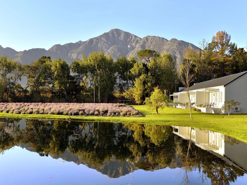 Lavender Farm Boutique Guest House
