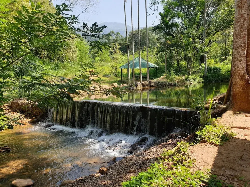Nature Hub Koslanda