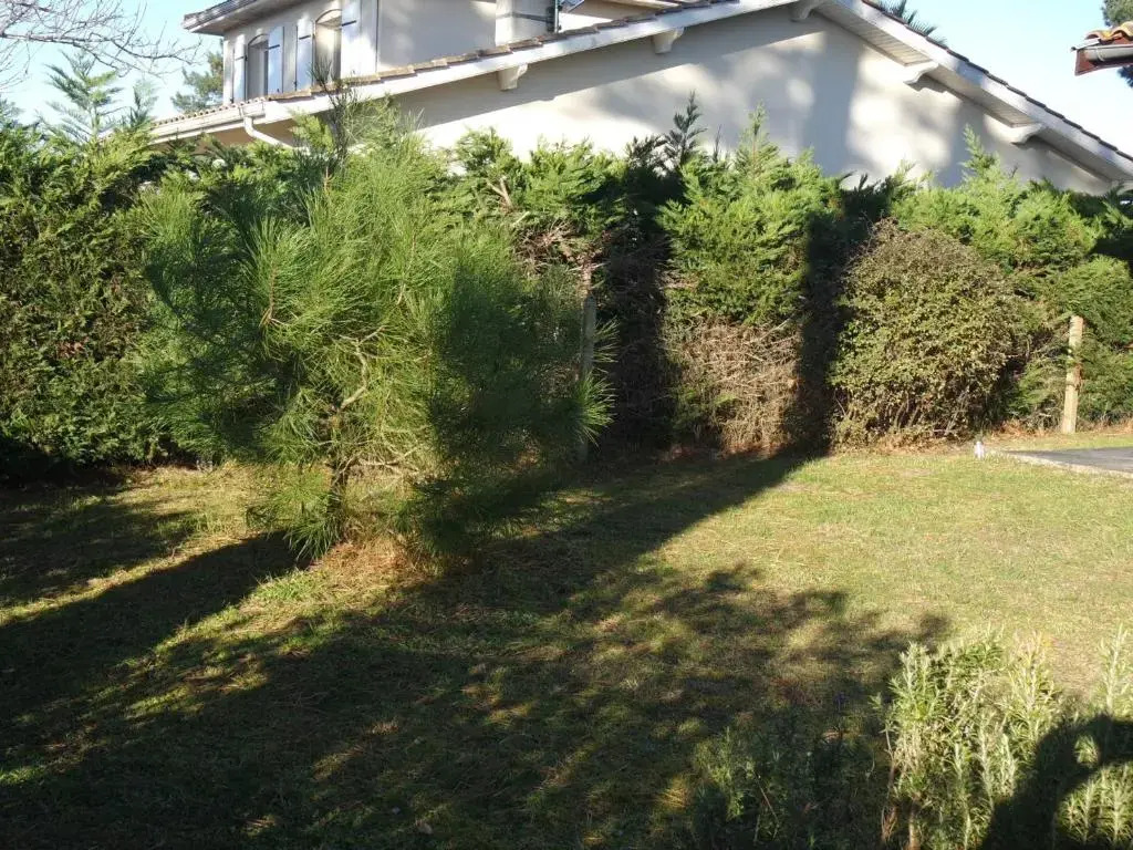Maison familiale avec jardin, proche Dune du Pyla et parcs, idéale pour vacances ensoleillées - FR-1-319-362