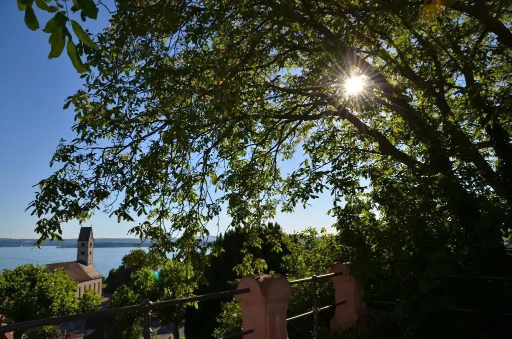 Seebrise mit Musik und Wein
