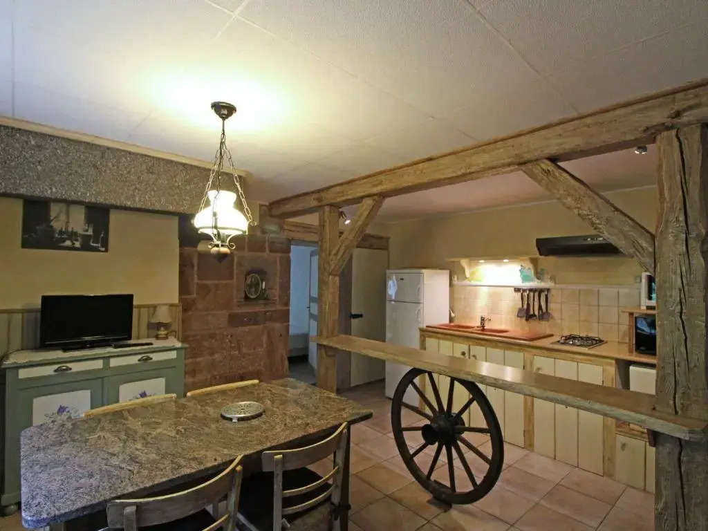 Gîte chaleureux en pleine nature avec terrasse, idéal pour randonnées et vététistes, proche de Gérardmer - FR-1-589-125