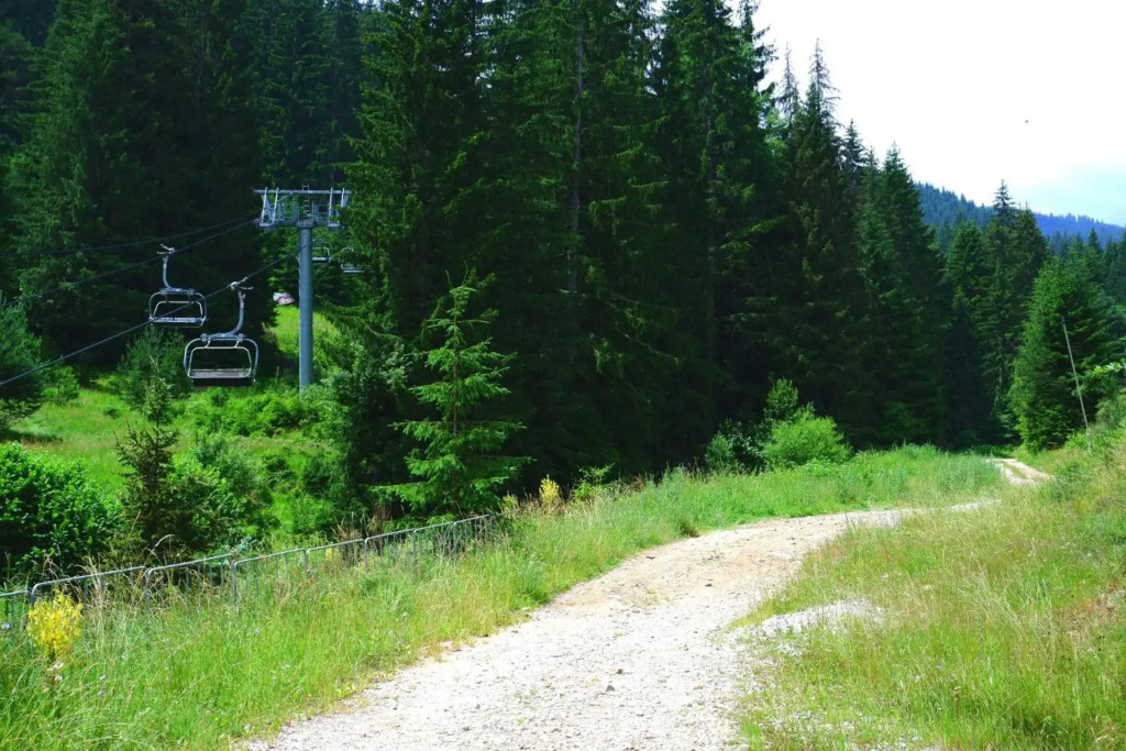 Year-round apartment 50m away from ski lift