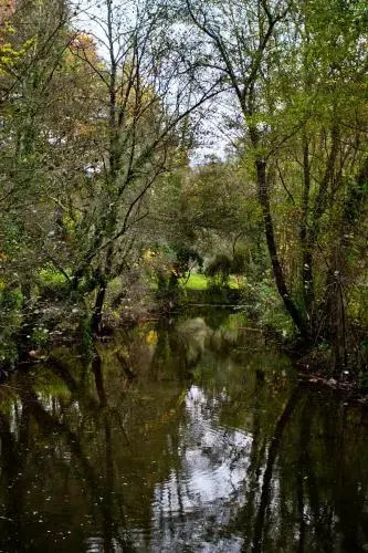 Quinta de Mourães Casa dos Rododendros