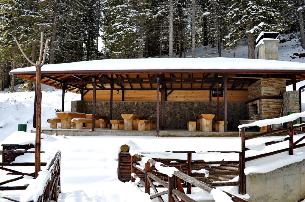 The Stream Resort Pamporovo