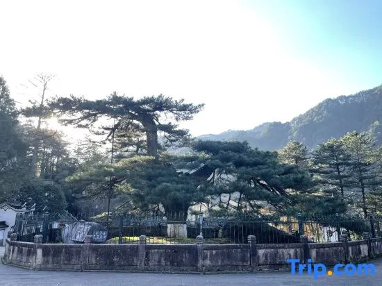 Jiuhua Mountain Yunshanjian Homestay