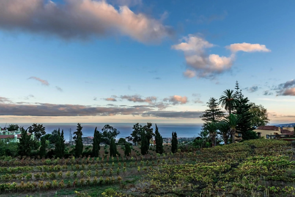 CASA RURAL EL LAGAR TENERIFE