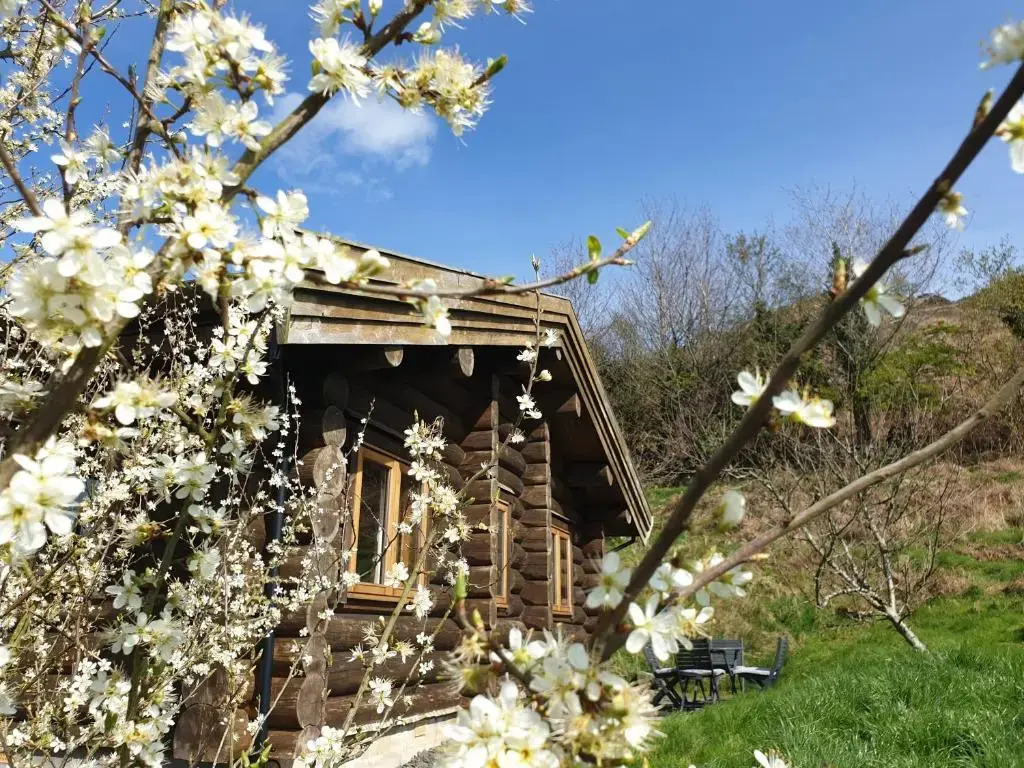 Newland Valley Log Cabins