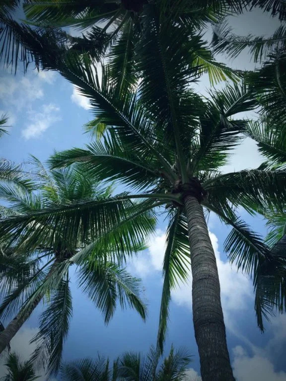 Sanya Chuanqi Theme Hotel